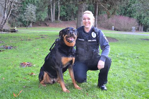Seattle animal control - Resources. Home Hours, Location and Contacts. About Us. The Seattle Animal Shelter was founded in 1972 to protect public safety and enforce all animal-related ordinances …